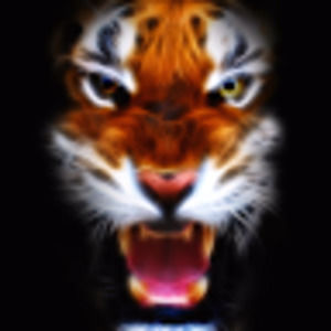 Meet your Posher, Rickey